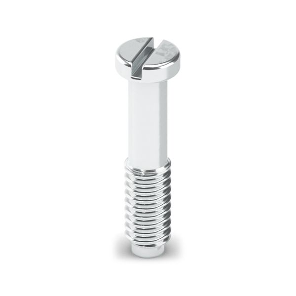 SCM2-1.5 CUSN 2.6 / 9.8 L — Винты