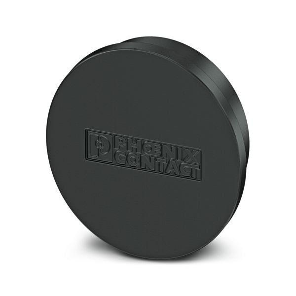 ES-FT-BPC PROTECTION CAP — Крышка для защиты от пыли