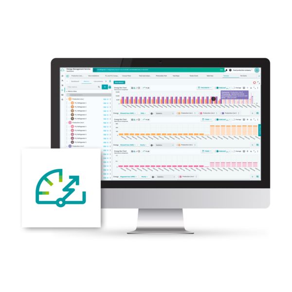 EMS - CUSTOM LICENCE — Умный сервис